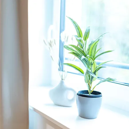 Dwellstay - City Apartments Fulda Room photo